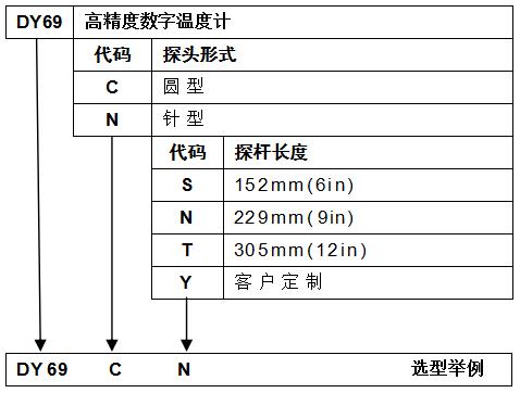 DY-69高精度数字温度计