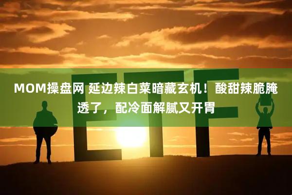 MOM操盘网 延边辣白菜暗藏玄机！酸甜辣脆腌透了，配冷面解腻又开胃