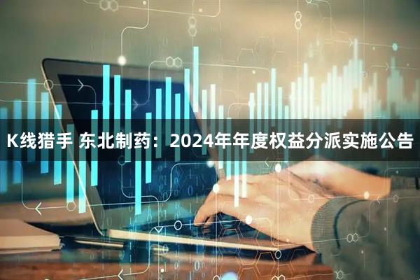 K线猎手 东北制药：2024年年度权益分派实施公告