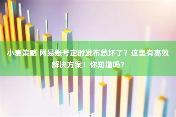 小麦策略 网易账号定时发布愁坏了?这里有高效解决方案!你知道吗?